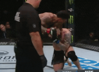 paltrygiddyflickertailsquirrel-size_restricted