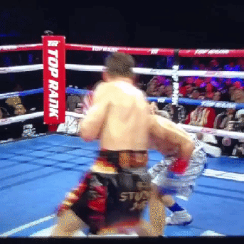 Teofimo Knockout.gif