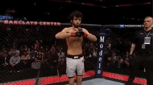 Zabit.gif