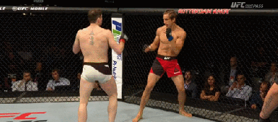 tumblr_ovo1kuocLQ1rofocqo1_500