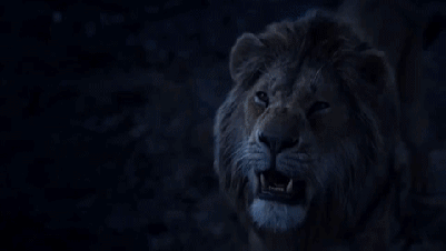 the_lion_king_2019___trailer__2__gif_code__by_dafominanimat-dcsn8ut.gif