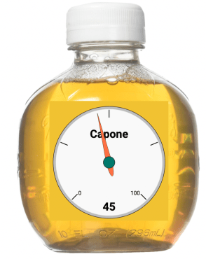 Screen Shot 2020-05-12 at 5.43.53 PM